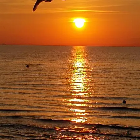 Appartement Kwi 09 Og 