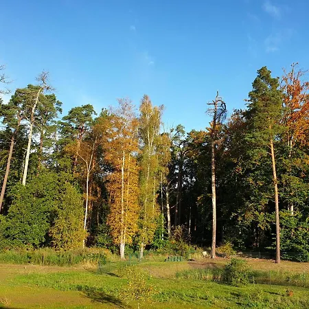 Daire Kwi 09 Og 